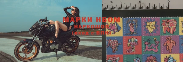 Альфа ПВП Новозыбков